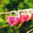 Padlocks